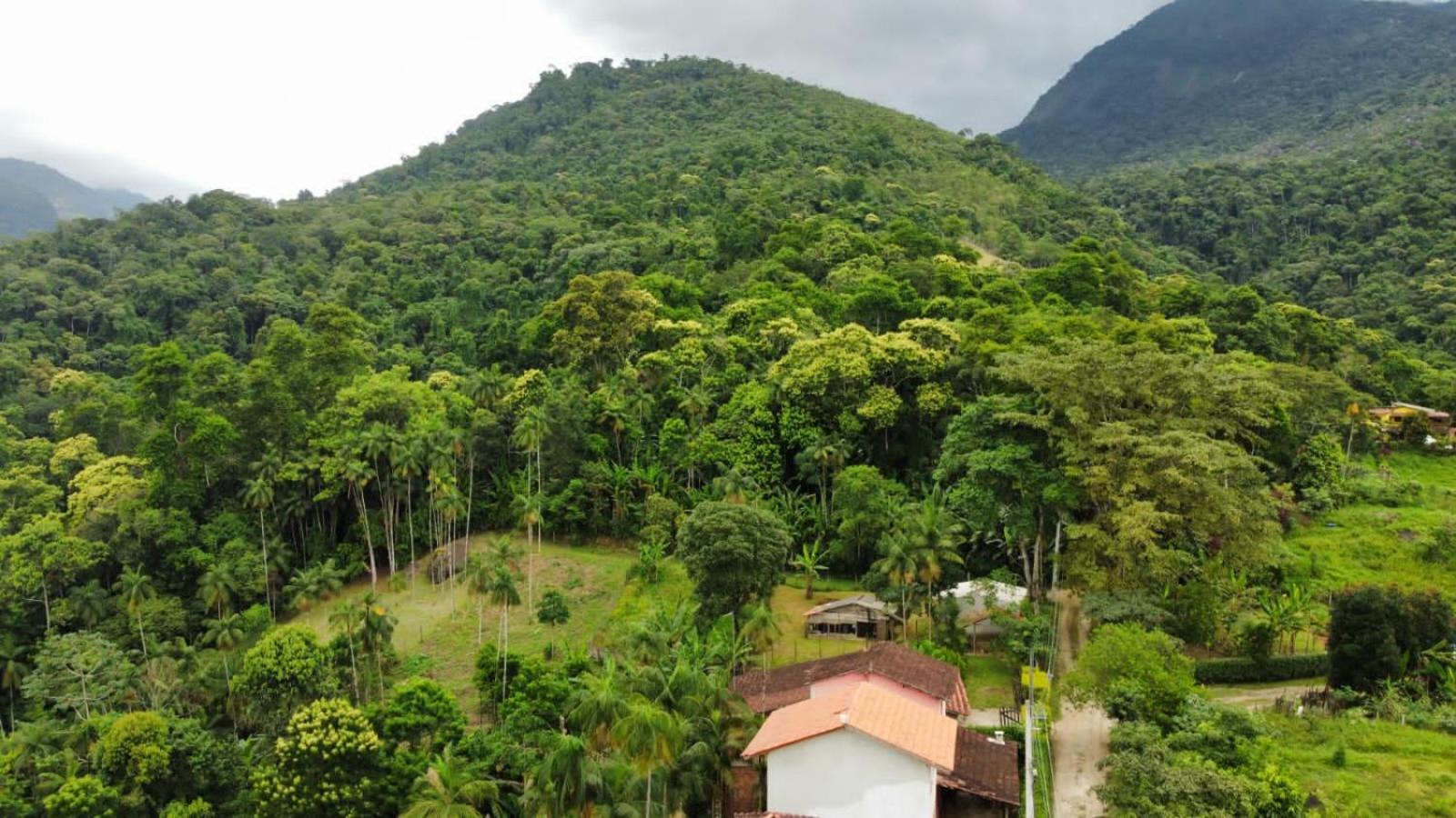 Casa Da Floresta Pico Da Aguia Parati Exterior foto